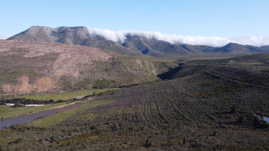 0 Bedroom Property for Sale in Joubertina Eastern Cape